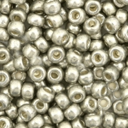 Perles de rocailles Miyuki 6/0 Duracoat galvanized light pewter silver 6-4221