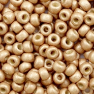 Perles de rocailles Miyuki 6/0 Duracoat galvanized matte champagne 6-4204F