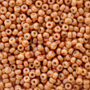 Perles de rocailles Miyuki 11/0 Duracoat opaque cedar brown 11-4457