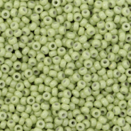 Perles de rocailles Miyuki 11/0 Duracoat opaque fennel green 11-4473