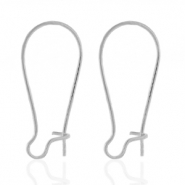 Boucles d'oreilles en acier inox Argent&eacute;