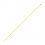 Appr&ecirc;ts en acier inox clou &agrave; t&ecirc;te plate 50mm Dor&eacute;