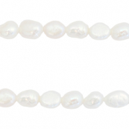 BQ Perles d'eau douce nugget ovale 8x5-6mm Blanc naturel