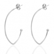 Boucles d'oreilles en acier Inox Argenté