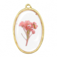 Pendentifs avec fleurs séchées ovale Doré-rose