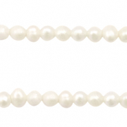 Perles d'eau douce rond 3mm Blanc naturel