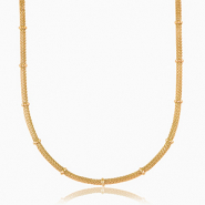 Colliers en acier Inox Dor&eacute;