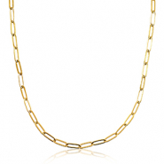 Colliers en acier Inox cha&icirc;ne maille Dor&eacute;