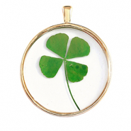 Pendentifs avec fleurs séchées Doré-vert