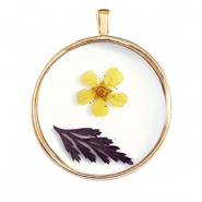 Pendentifs avec fleurs séchées Doré-jaune marron