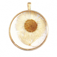 Pendentifs avec fleurs séchées Doré-beige