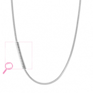 Colliers en acier Inox Argenté