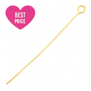 Apprêts en acier inox clou à tête ronde 50mm Doré