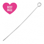 Apprêts en acier inox clou à tête ronde 50mm Argenté