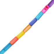 Perles coquillage tube Multicolore