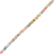 Perles coquillage disque Pastel multicolore