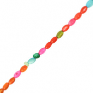 Perles coquillage ovale Multicolore