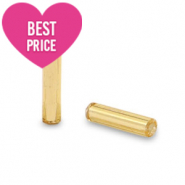 Perles de rocailles Special Bugles Doré