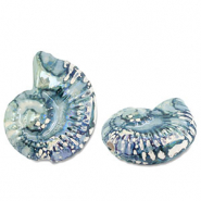 Perles en céramique DQ grecque coquille Vert-bleu-blanc