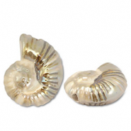 Perles en céramique DQ grecque coquille Beige-marron