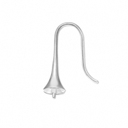 Appr&ecirc;ts en acier inox boucles d'oreilles crochet avec embout Argent&eacute;