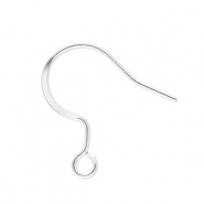 Appr&ecirc;ts en acier inox boucles d'oreilles crochet avec anneau Argent&eacute;