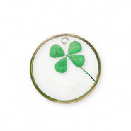 Pendentifs avec fleurs séchées Doré-vert