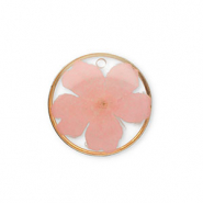 Pendentifs avec fleurs séchées Doré-rose clair