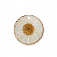 Pendentifs avec fleurs séchées Doré-beige