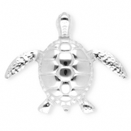 Broches accroche-regard en acier inox tortue Argenté
