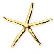 Broches accroche-regard en acier inox étoile de mer Doré