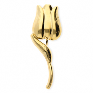 Broches accroche-regard en acier inox tulipe Doré