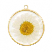 Perles / breloques Pendentifs et connecteurs avec fleurs séchées