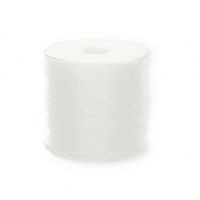 Fil Nylon 1 mm Transparent