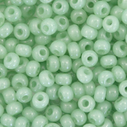 Preciosa  Rocailles Preciosa 6/0