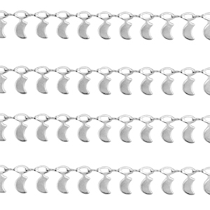 Appr&ecirc;ts en acier Inox cha&icirc;ne maille jaseron lune Argent&eacute;