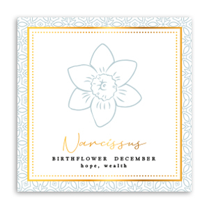 Cartes &agrave; bijoux Fleur de naissance D&eacute;cembre-Narcisse Gris verd&acirc;tre