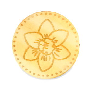 Cabochons Plexx 20mm Fleur de naissance D&eacute;cembre - Narcisse Dor&eacute;