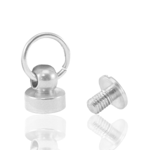 Rivets pour coque t&eacute;l&eacute;phone Argent&eacute;