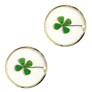 Connecteurs avec fleurs s&eacute;ch&eacute;es 20mm Dor&eacute;-vert