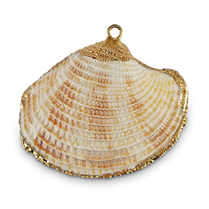 Pendentifs coquillage specials Coquille Saint-Jacques Blanc cass&eacute;-dor&eacute;