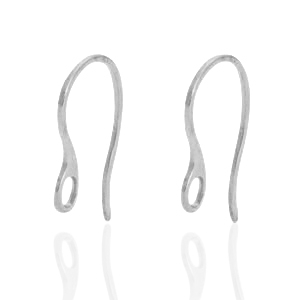 Boucles d'oreilles en acier Inox avec anneau Argent&eacute;