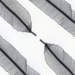 Lacet pour chaussure tendance Noir