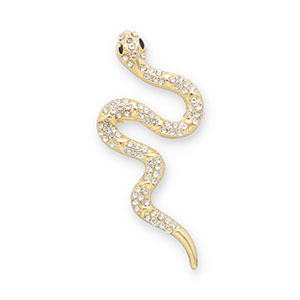 Broches serpent Dor&eacute;-transparent-noir