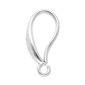 Appr&ecirc;ts en acier inox boucles d'oreilles crochet Argent&eacute;