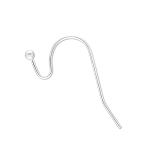 Appr&ecirc;ts en acier inox boucles d'oreilles crochet Argent&eacute;