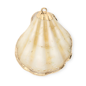 Pendentifs coquillage specials coquille Saint-Jacques avec 5 anneaux Beige clair-dor&eacute;