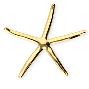 Broches accroche-regard en acier inox &eacute;toile de mer Dor&eacute;