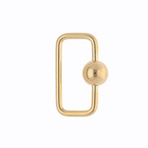 Appr&ecirc;ts en acier Inox fermoir rectangle Dor&eacute;