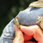 Laissez-vous inspirer avec des broches originales Sealife